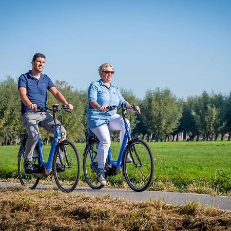 Familie Resort Molenwaard Ottoland Kültér fotó