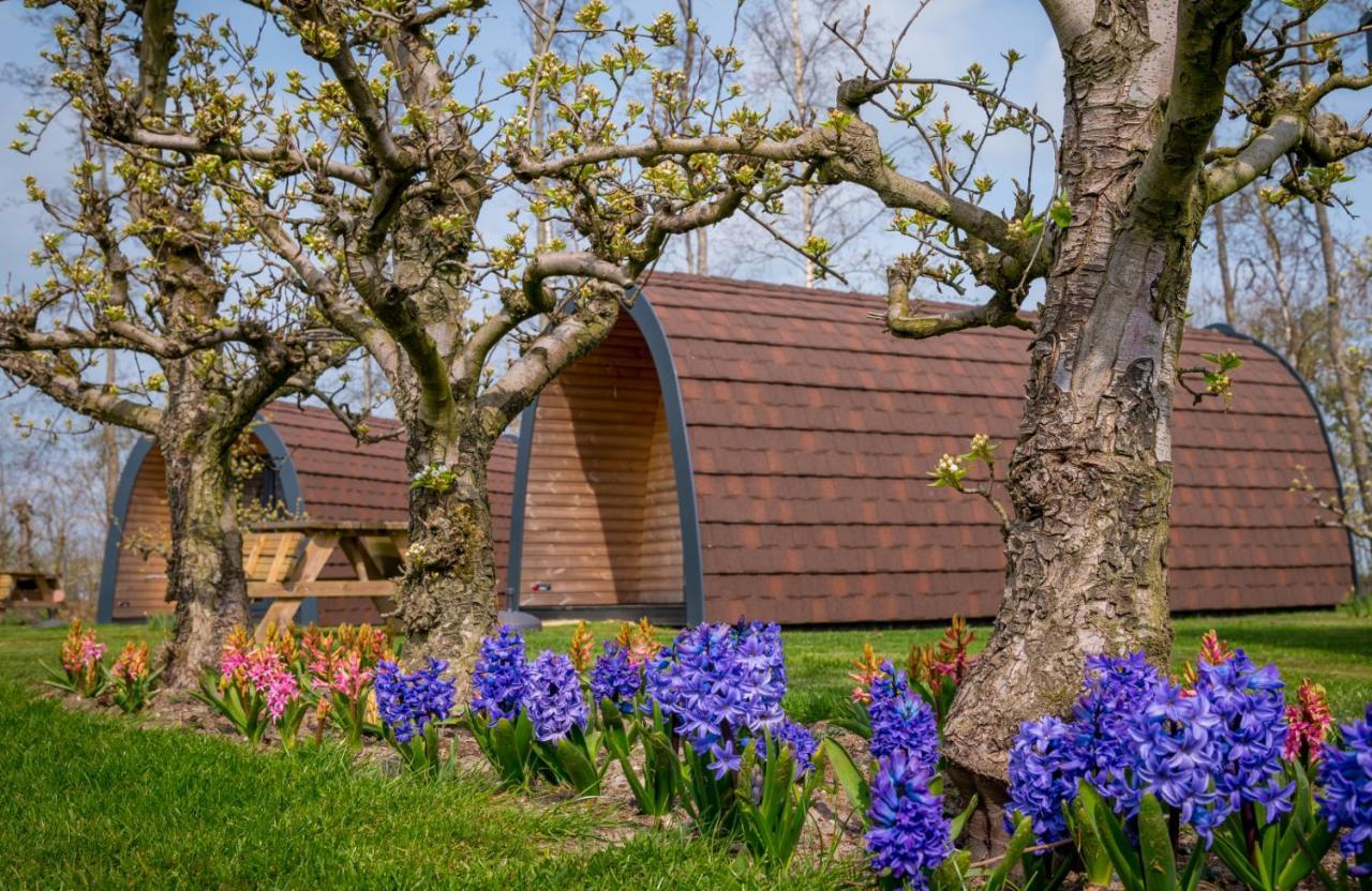 Familie Resort Molenwaard Ottoland Kültér fotó